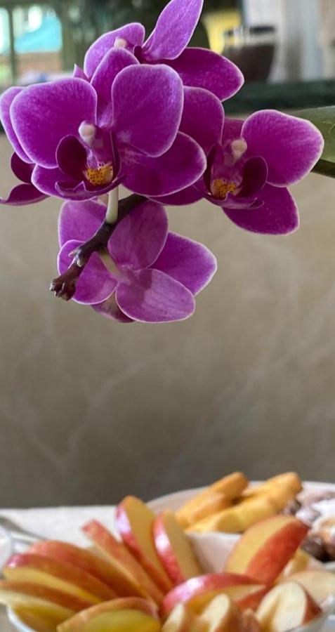 Hotel Verdi Boutique Hotel Парма Екстериор снимка